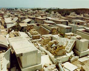 cim1.jpg (17848 bytes)