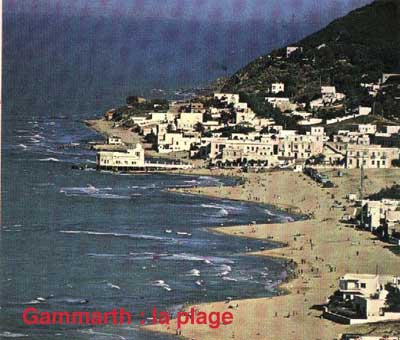 gammarth plage.jpg (26295 bytes)