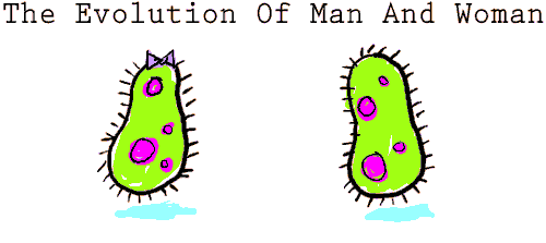 evolutio.gif (60035 bytes)
