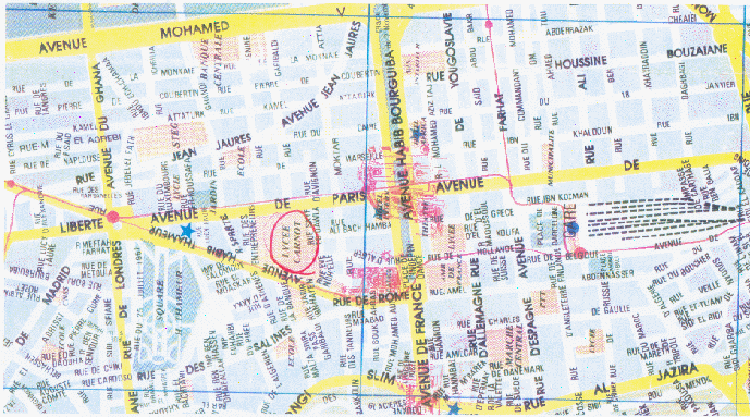 wpe32359.gif (188979 bytes)