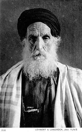 rabbinsc.jpg (14696 bytes)