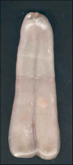 boutargue.jpg (20237 bytes)