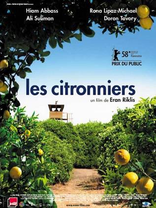 LES CITRONNIERS.jpg