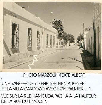 MARZOUK N° 10.jpg (48056 bytes)