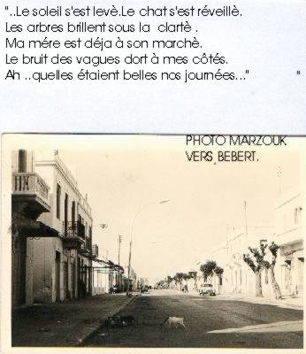 MARZOUK N° 26.jpg (26519 bytes)
