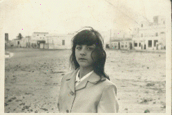 wpe08333.gif (41417 bytes)