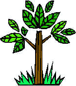 na01441_.wmf (13502 bytes)