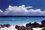 skies_splash.gif (11631 bytes)