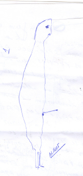 NOUGATON 1