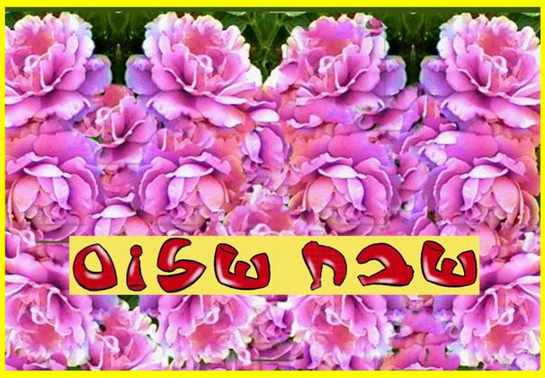 Shabbat Shalom 17 11 06