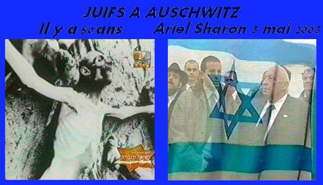 Auschwitz 5 Mai 05, Sharon