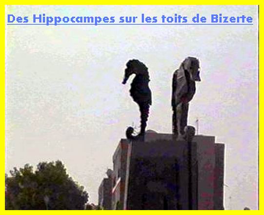 hippoc. a Bizerte