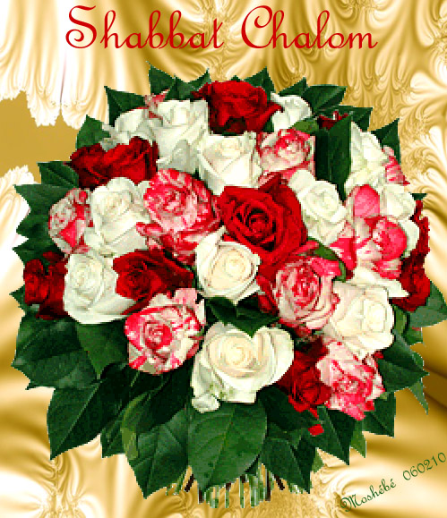 shabbat Chalom 060210