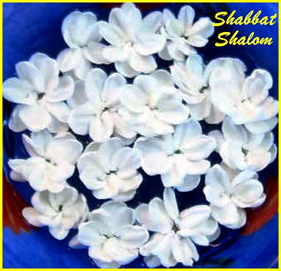 Shabbat Shalom 300606
