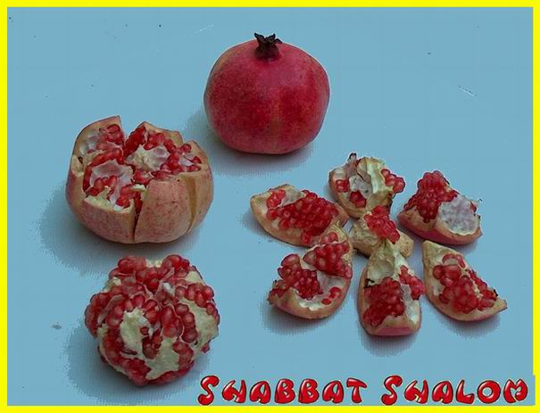 Shabbat Shalom 150906