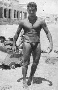 GARCINI MIRO SUR LA PLAGE.JPG (25915 bytes)
