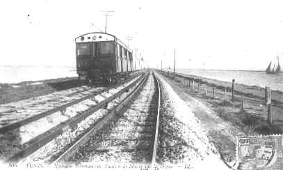 TGM 6.hqx (24724 bytes)