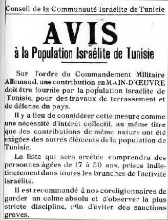 avis 1.hqx (59726 bytes)
