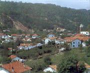 draham1.jpg (7597 bytes)