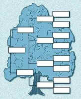 genealogytree.jpg (24405 bytes)