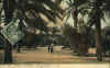 jardin av de paris.hqx (28711 bytes)