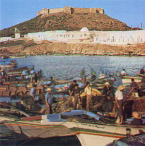 kelibia4.jpg (25872 bytes)