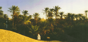sahara.gif (27156 bytes)