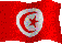 tn-flag.gif (4141 bytes)