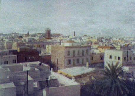 tunisavion.jpg (30666 bytes)
