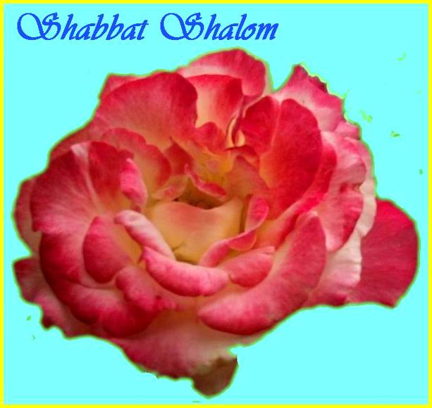 Shabbat Shalom 010607