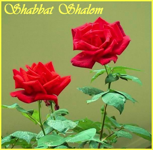 Shabbat Shalom 080607